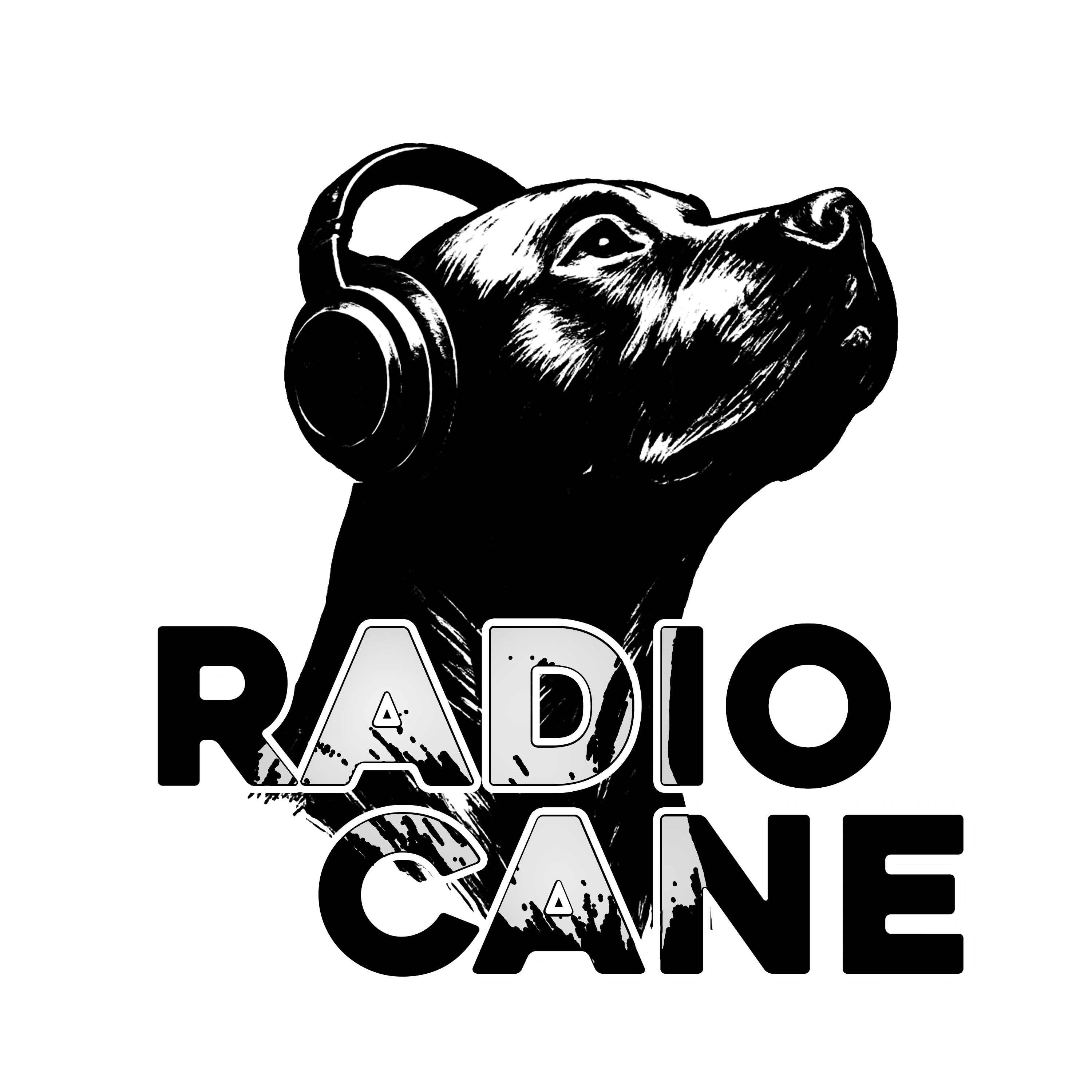Radio Cane