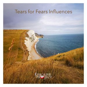 Tears for Fears Influences